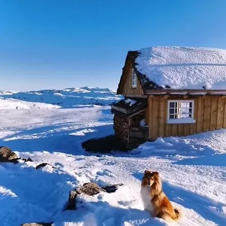 Mountain Between Pulpit Rock And Kjerag Nyaraló Frafjord