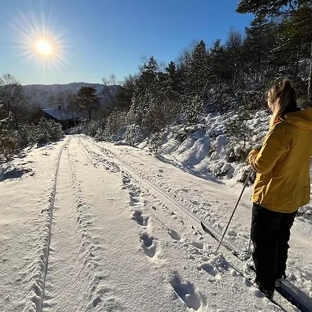 Mountain Between Pulpit Rock And Kjerag בית נופש