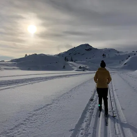 בית נופש Mountain Between Pulpit Rock And Kjerag *