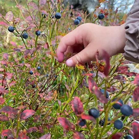 בית נופש Mountain Between Pulpit Rock And Kjerag