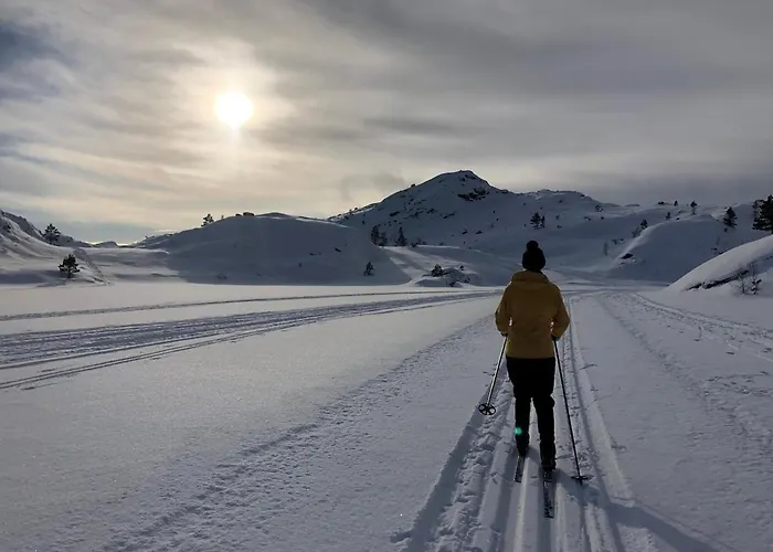 Feriehus Mountain Between Pulpit Rock And Kjerag *