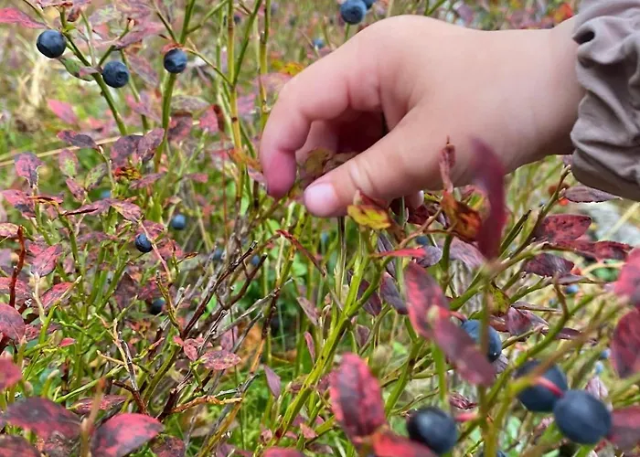 Feriehus Mountain Between Pulpit Rock And Kjerag